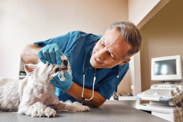 Best After-Hours Emergency Dentist in Norcross, GA